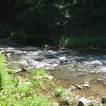 Creek by the Group Center