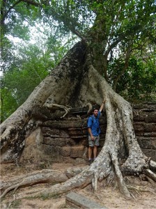 Tree roots growing over a wall at Ta Prohm